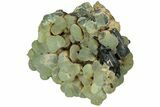 Botryoidal Prehnite and Epidote - Mali #220619-1
